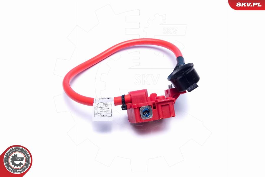 Esen SKV 96SKV311 - Adaptor acumulator parts5.com