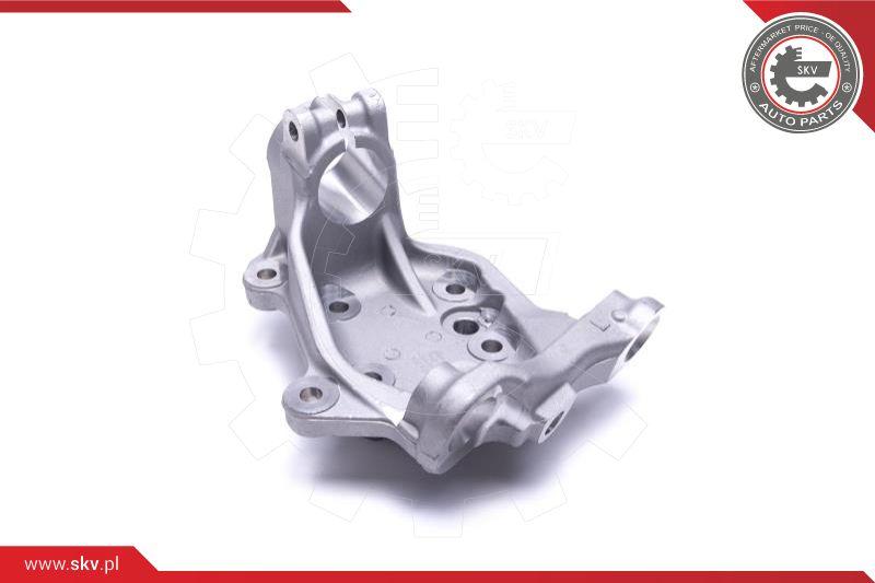 Esen SKV 47SKV841 - Muñón del eje, suspensión de rueda parts5.com