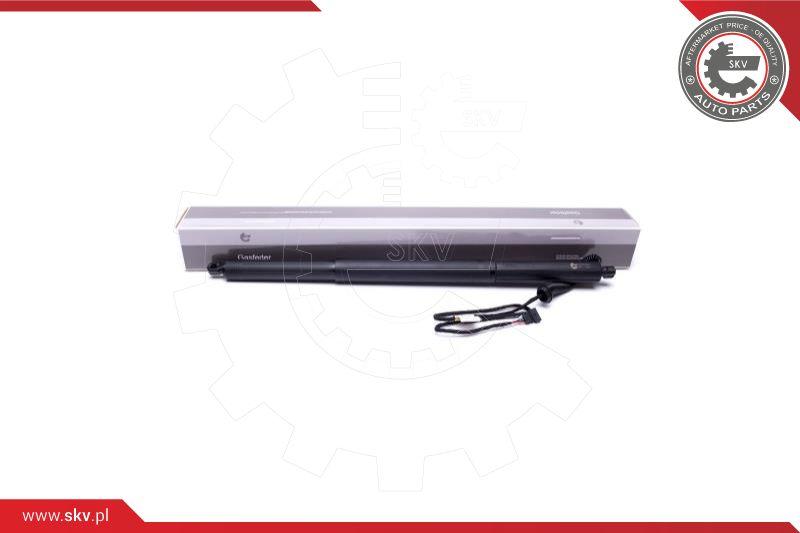 Esen SKV 52SKV929 - Villanymotor, hátsó csapóajtó parts5.com