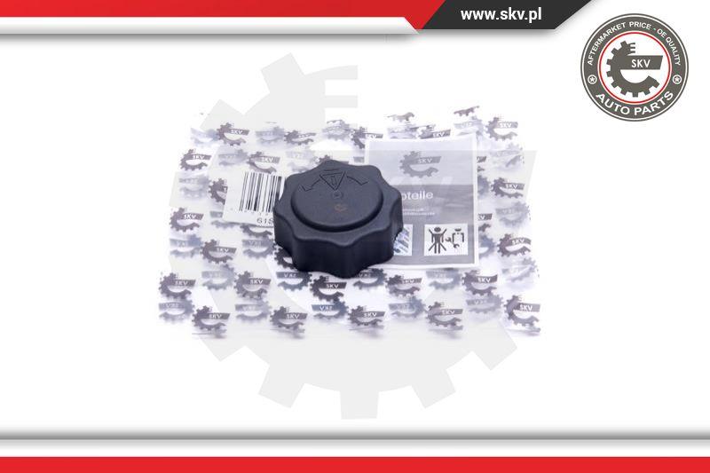 Esen SKV 61SKV016 - Tapón, depósito de refrigerante parts5.com