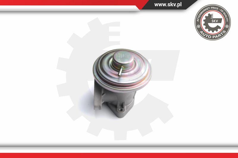 Esen SKV 14SKV098 - AGR-Клапан parts5.com