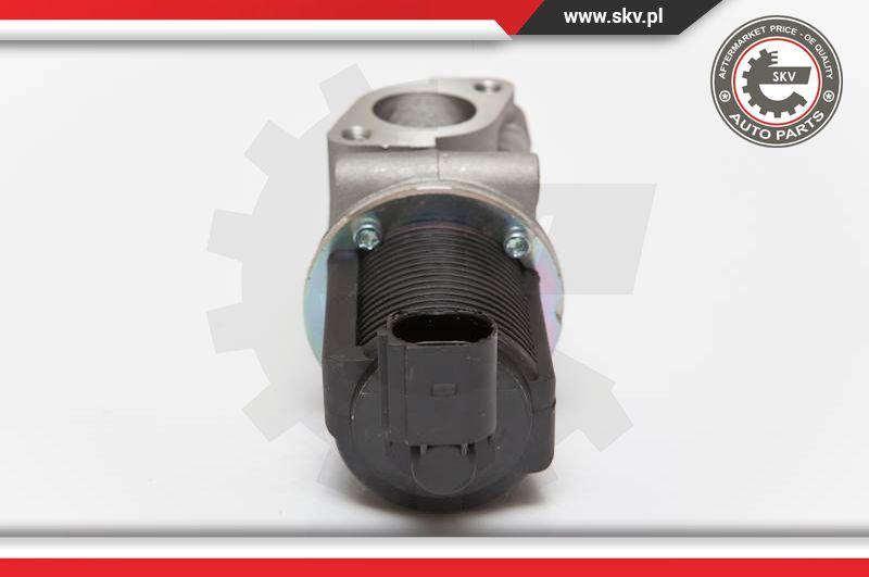 Esen SKV 14SKV055 - AGR-szelep parts5.com