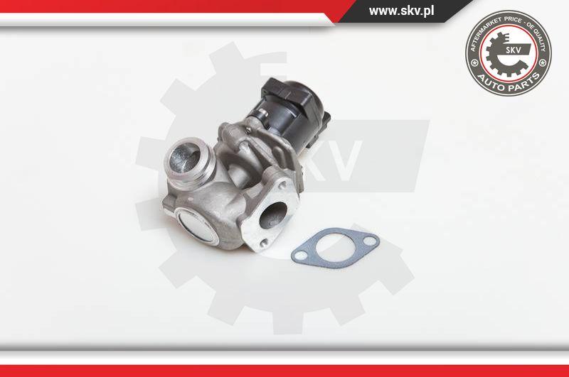 Esen SKV 14SKV028 - AGR-Ventil parts5.com