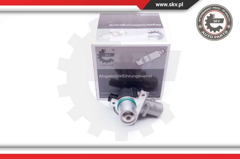 Esen SKV 14SKV163 - Zawór AGR parts5.com