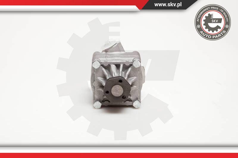 Esen SKV 10SKV017 - Hydraulic Pump, steering system parts5.com