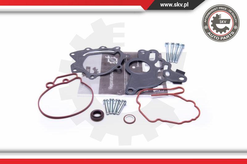 Esen SKV 18SKV804 - Set reparatie, pompa vacuum (Siste frana) parts5.com