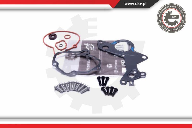 Esen SKV 18SKV801 - Repair Set, vacuum pump (braking system) parts5.com