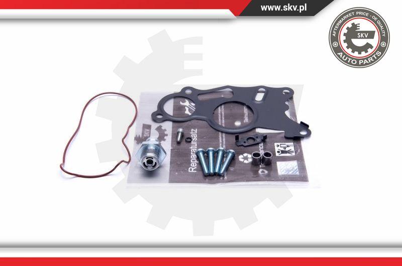 Esen SKV 18SKV803 - Kit reparación, bomba vacío (frenos) parts5.com