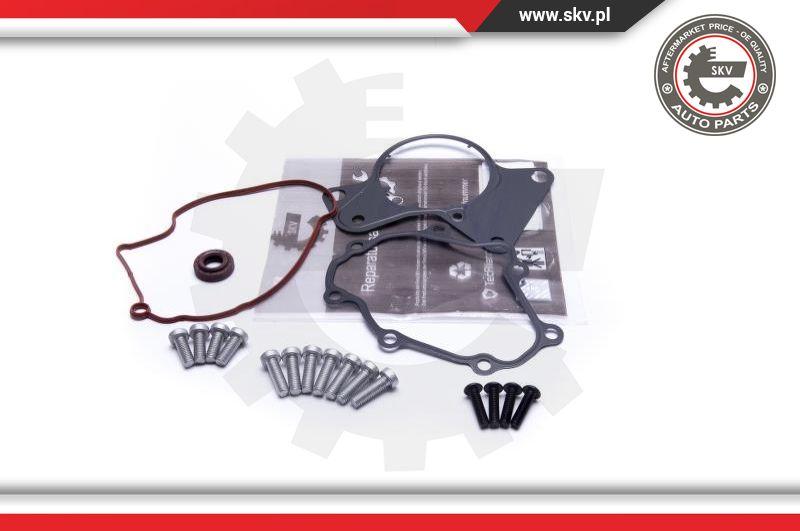 Esen SKV 18SKV802 - Repair Set, vacuum pump (braking system) parts5.com