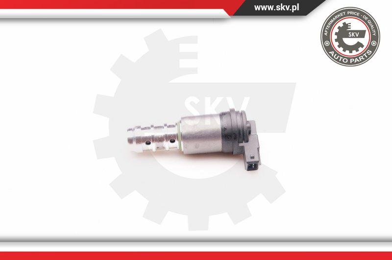 Esen SKV 39SKV013 - Válvula control, ajuste de levas parts5.com