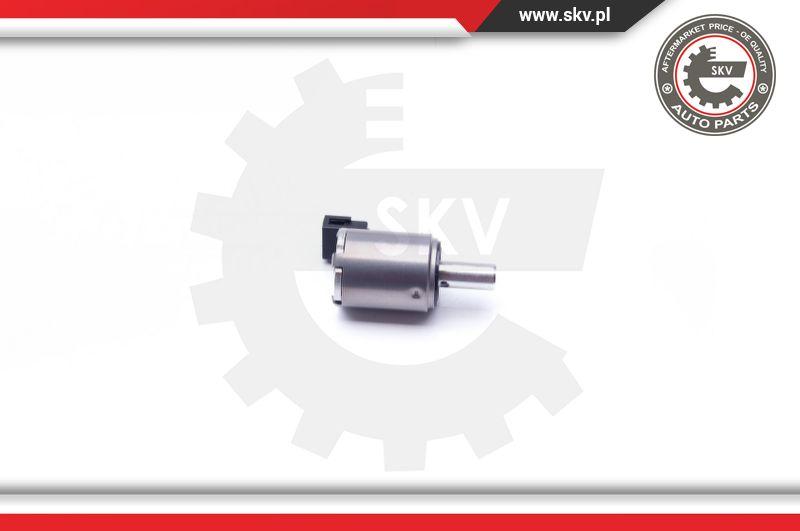 Esen SKV 39SKV027 - Kumanda supabı, eksantrik mili ayarlama parts5.com