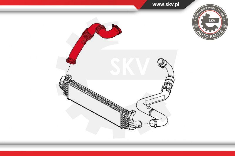 Esen SKV 24SKV781 - Şarj havası hortumu parts5.com