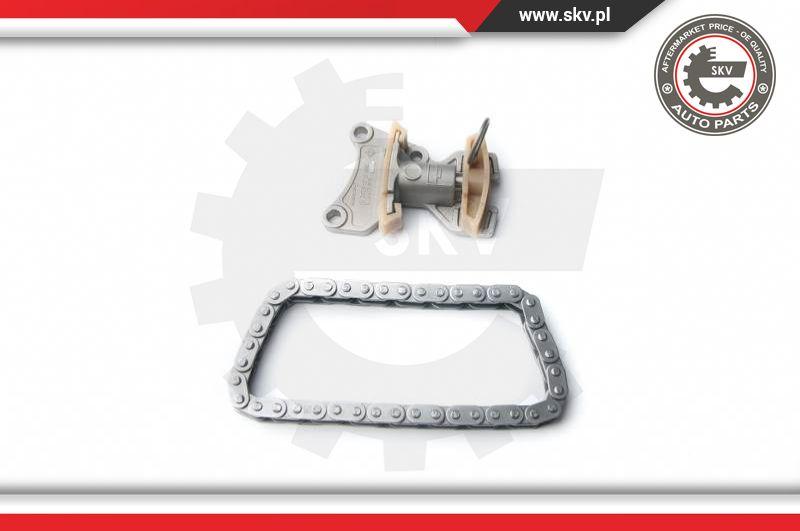 Esen SKV 21SKV020 - Timing Chain Kit parts5.com