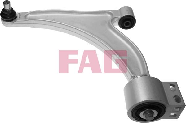 FAG 821 0763 10 - Barra oscilante, suspensión de ruedas parts5.com