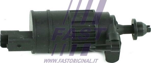 Fast FT94911 - Water Pump, window cleaning parts5.com