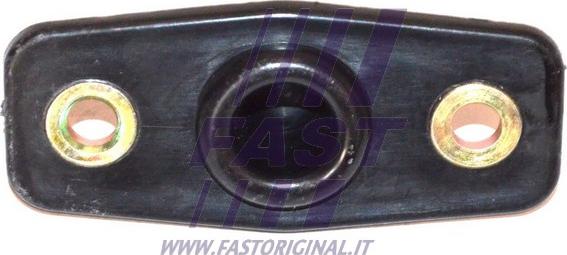 Fast FT95457 - Ghid, buton de inchidere parts5.com