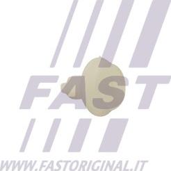 Fast FT96311 - Spojka, Okrasna / zascitna letev parts5.com