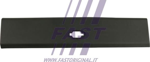 Fast FT90895 - Elemente decorative / protectie, panou lateral parts5.com