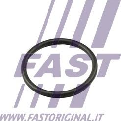 Fast FT49917 - Garnitura termostat parts5.com