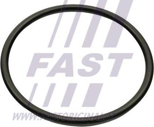 Fast FT49460 - Уплътнение, всмукателен колектор parts5.com