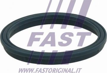 Fast FT49407 - Уплътнение, всмукателен колектор parts5.com