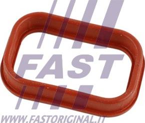 Fast FT49435 - Уплътнение, всмукателен колектор parts5.com