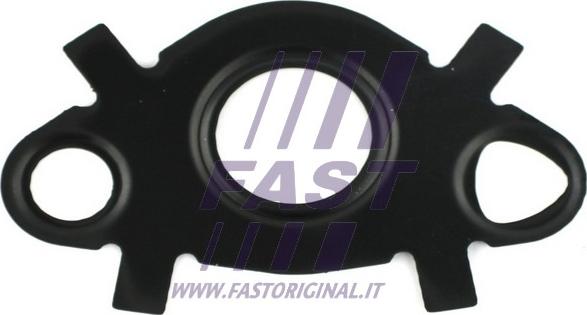 Fast FT49547 - Tesnilo, hladilnik olja parts5.com