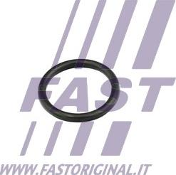 Fast FT49856 - Uszczelnienie, kołnierz przewodu cieczy chłodzącej parts5.com