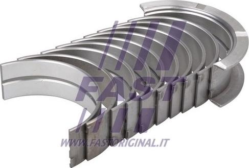 Fast FT46036/0 - Lezaj (glavni) rocicne gredi parts5.com