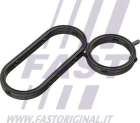 Fast FT48944 - Conta, yağ soğutucusu parts5.com