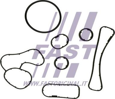 Fast FT48930 - Tesnilo, hladilnik olja parts5.com