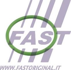 Fast FT48803 - Tesnilo, turbinski dovod parts5.com