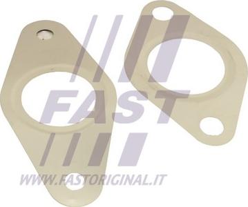 Fast FT50621 - Sada těsnění, AGR systém parts5.com