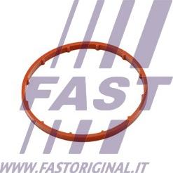 Fast FT50701 - Gasket, vacuum pump parts5.com