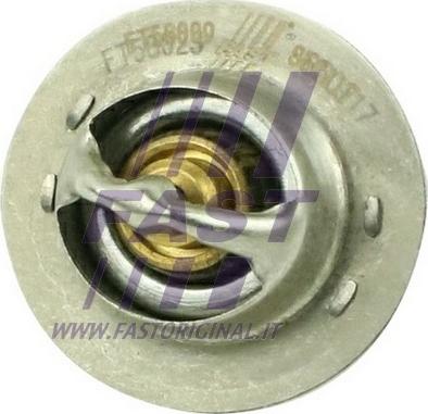 Fast FT58009 - Thermostat d'eau parts5.com