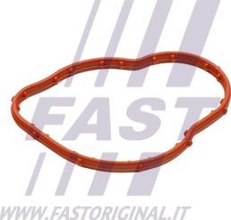 Fast FT58305 - Tesnenie termostatu parts5.com