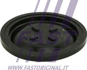 Fast FT60101 - Membrane, crankcase breather parts5.com