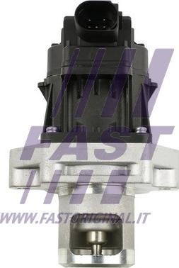 Fast FT60234 - Ventil za recirkulaciju parts5.com