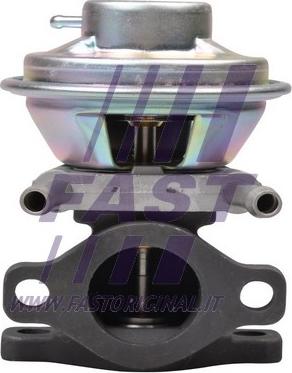 Fast FT60230 - AGR-szelep parts5.com