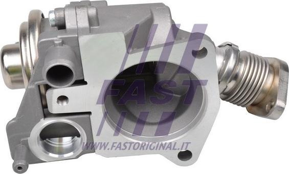 Fast FT60229 - EGR-klapp parts5.com