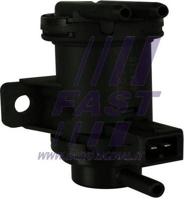 Fast FT63004 - Valve, activated carbon filter parts5.com