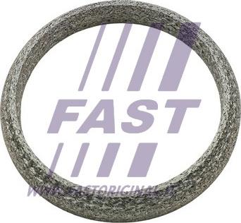 Fast FT84818 - Conta, egzoz borusu parts5.com