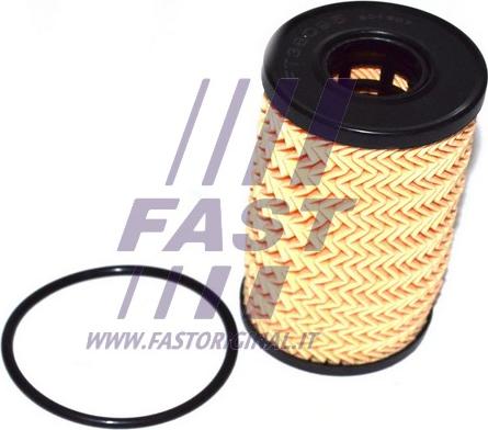 Fast FT38095 - Filtr oleju parts5.com