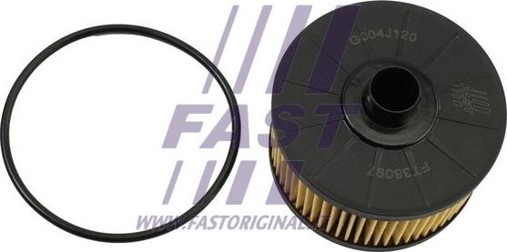 Fast FT38097 - Filtru ulei parts5.com