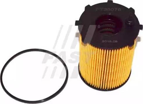 Fast FT38075 - Filtr oleju parts5.com