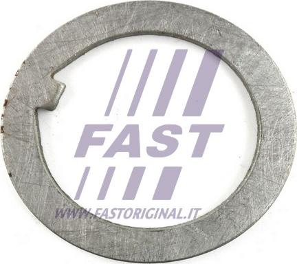 Fast FT26038 - Aluslevy, vetoakselilaippa parts5.com