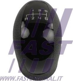 Fast FT73228 - Gear Lever Knob parts5.com