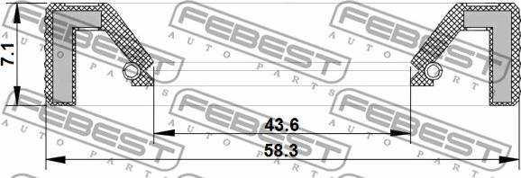 Febest 95KAY-45580707R - Retén, eje transmisión parts5.com