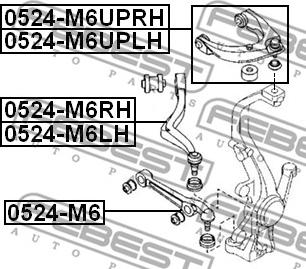 Febest 0524-M6UPRH - Brat, suspensie roata parts5.com