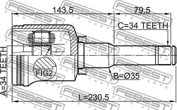 Febest 1811-ANTLH - Set articulatie, planetara parts5.com